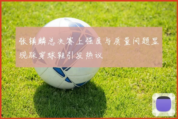 张镇麟总决赛上强度与质量问题显现踩穿球鞋引发热议