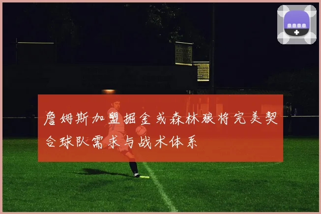 詹姆斯加盟掘金或森林狼将完美契合球队需求与战术体系