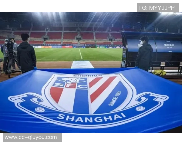 中超足球场建设现状分析及申花铁人场地改造情况探讨